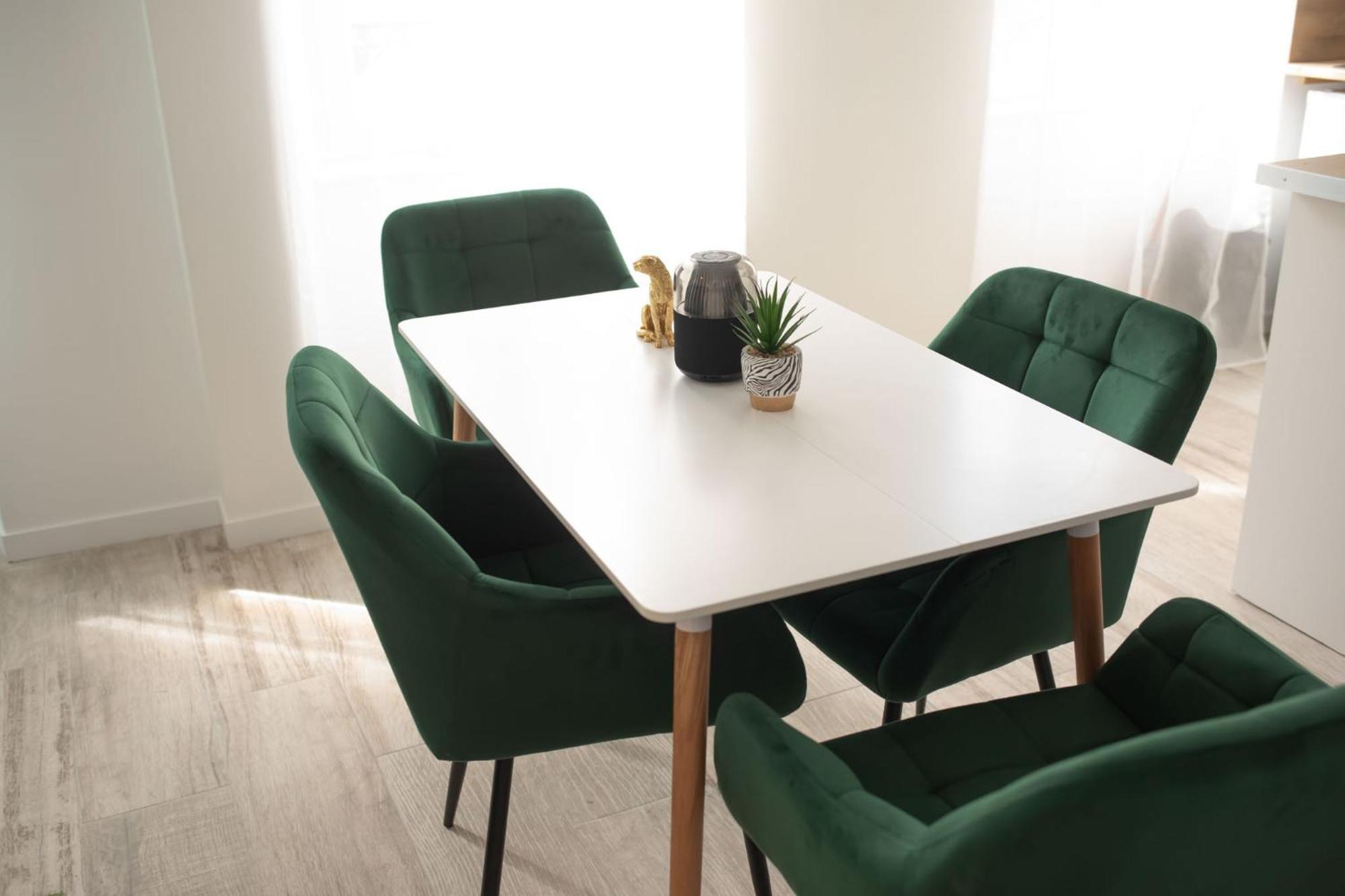 Jungle Appartement Lumineux Plein Centre 볼로뉴쉬르메르 외부 사진