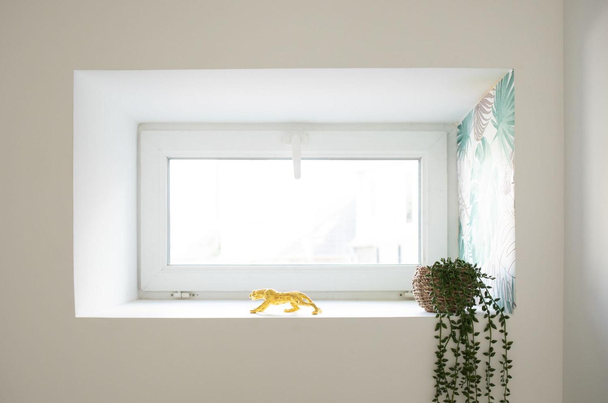 Jungle Appartement Lumineux Plein Centre 볼로뉴쉬르메르 외부 사진