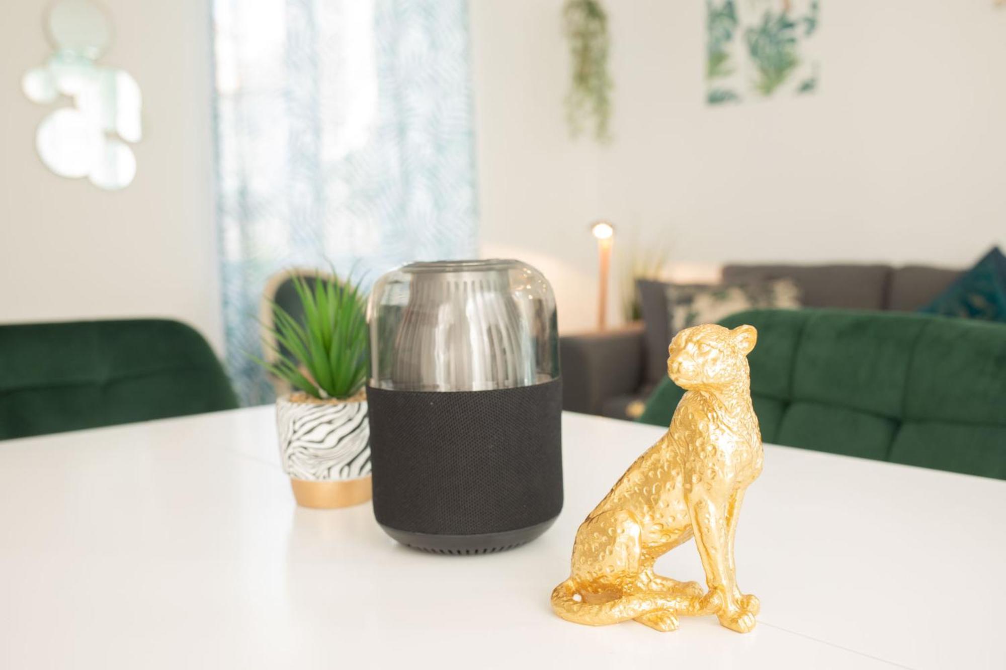 Jungle Appartement Lumineux Plein Centre 볼로뉴쉬르메르 외부 사진