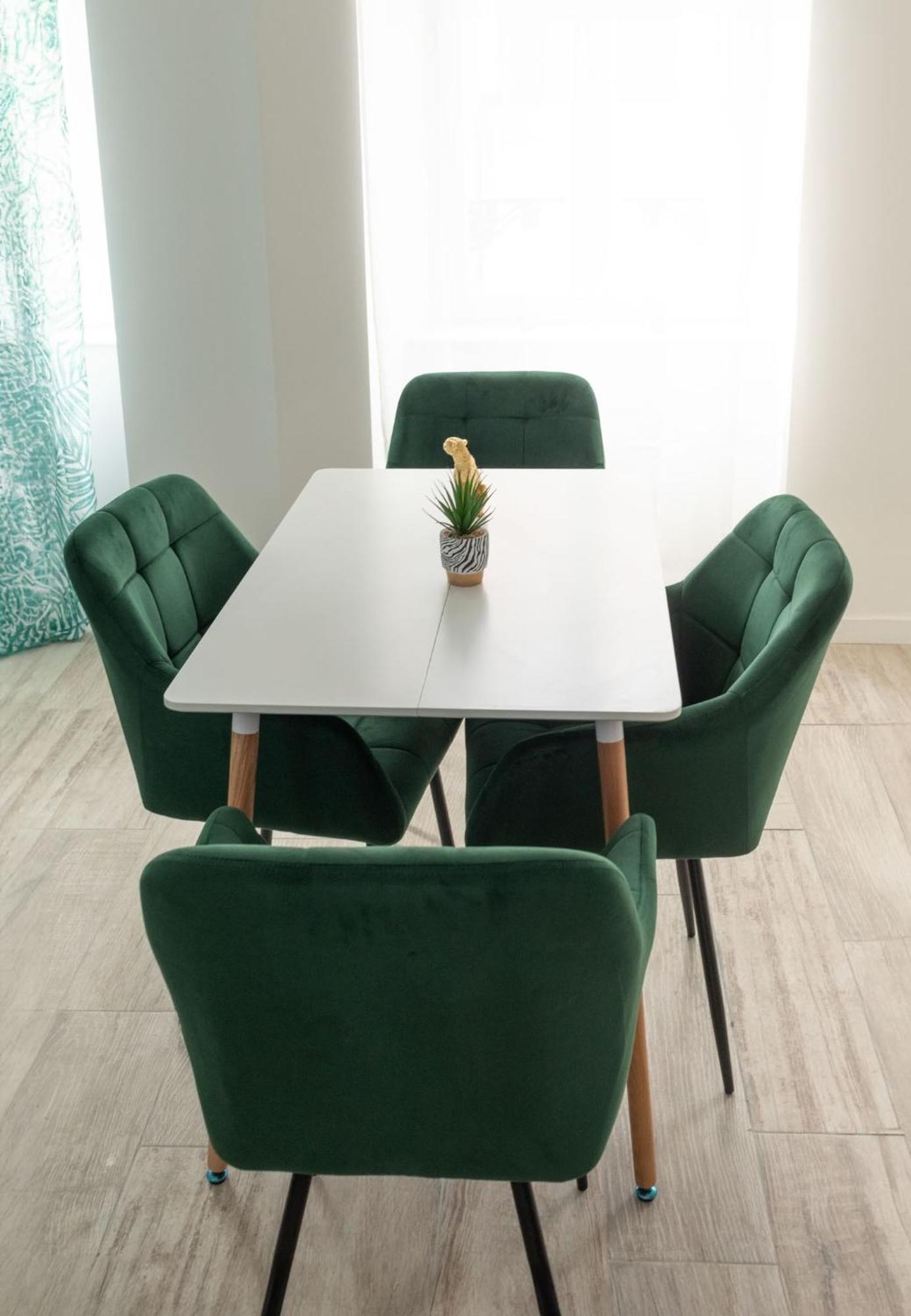 Jungle Appartement Lumineux Plein Centre 볼로뉴쉬르메르 외부 사진